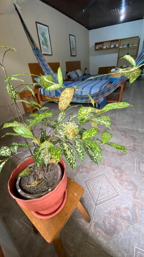 Poseidon Guest House Iquitos Esterno foto