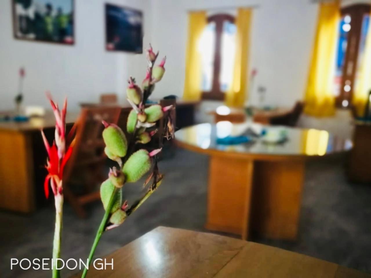 Poseidon Guest House Iquitos Esterno foto